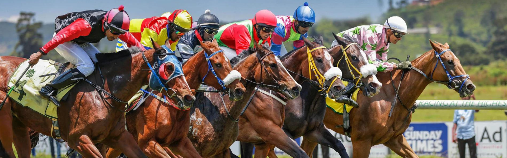 Exploring the Thrills of Horse Racing